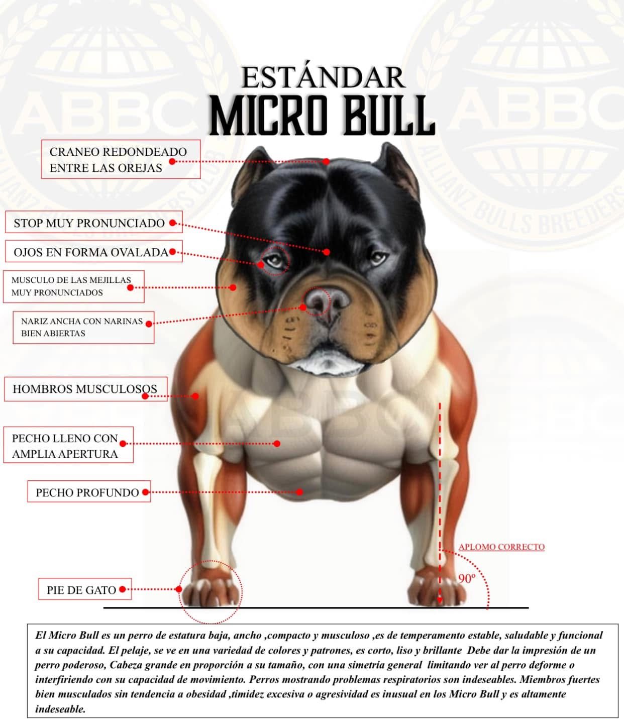 Micro Bull