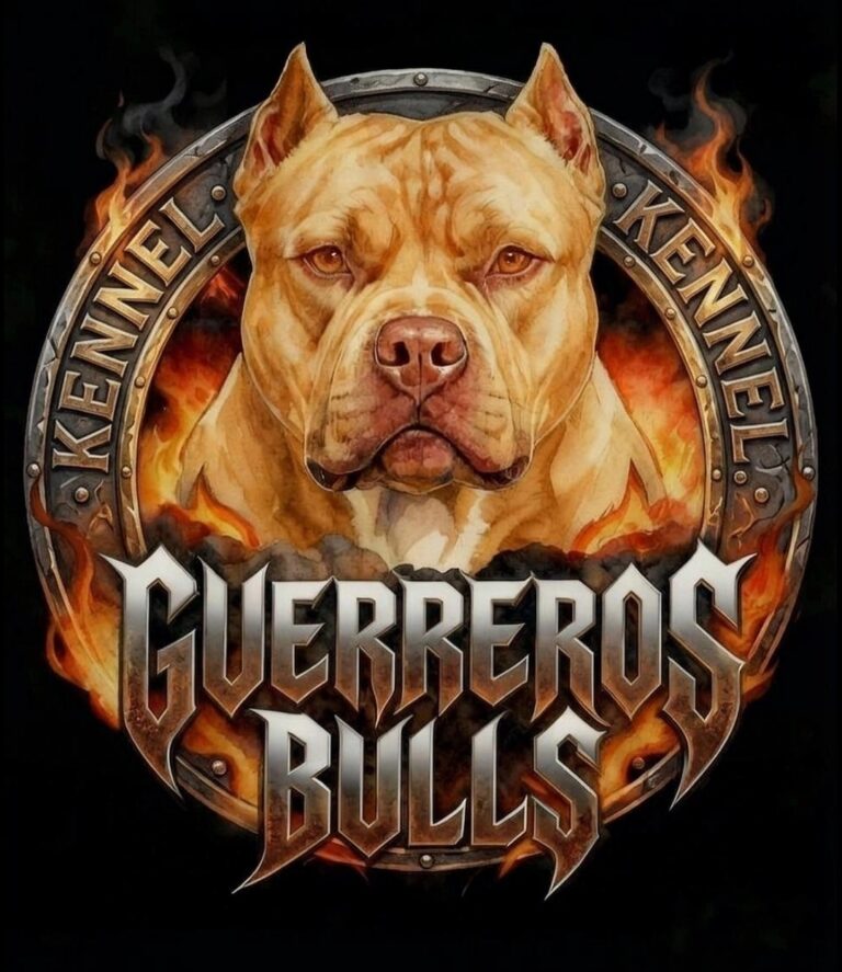 Logo de GUERREROS BULLS