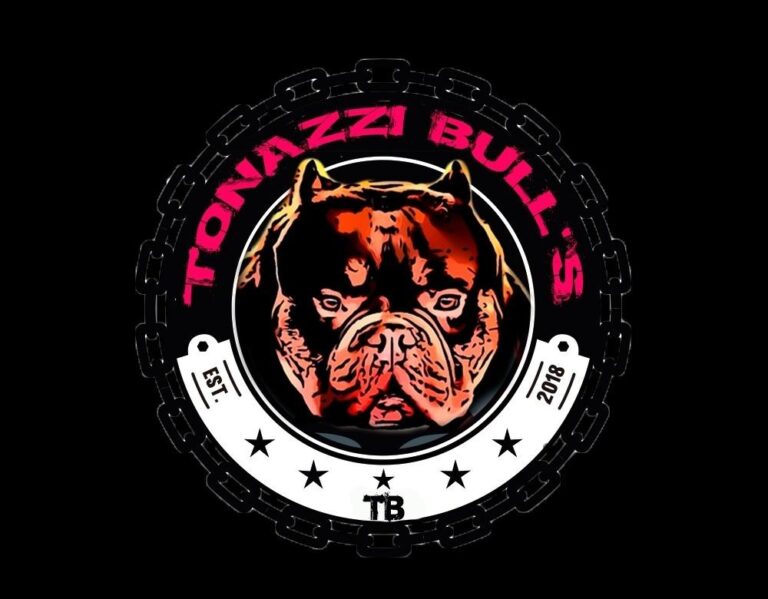 Logo de TONAZZI BULL´S