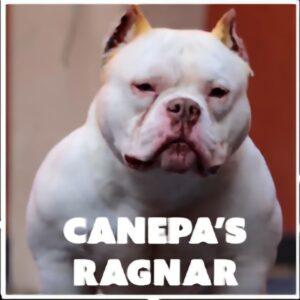 CANEPA'S RAGNAR · Abuelo materno