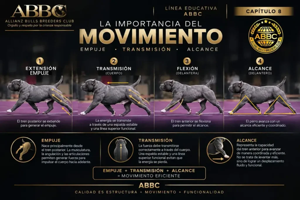 La importancia del movimiento: empuje, transmisión y alcance